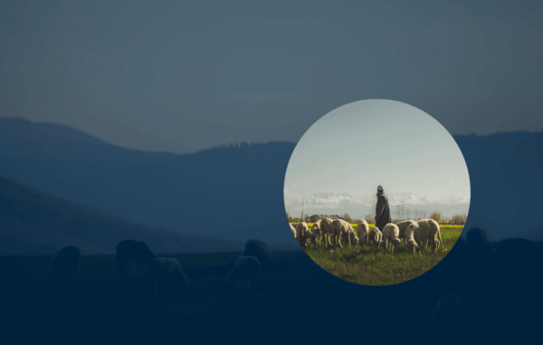 liderazgo en la casa de Dios